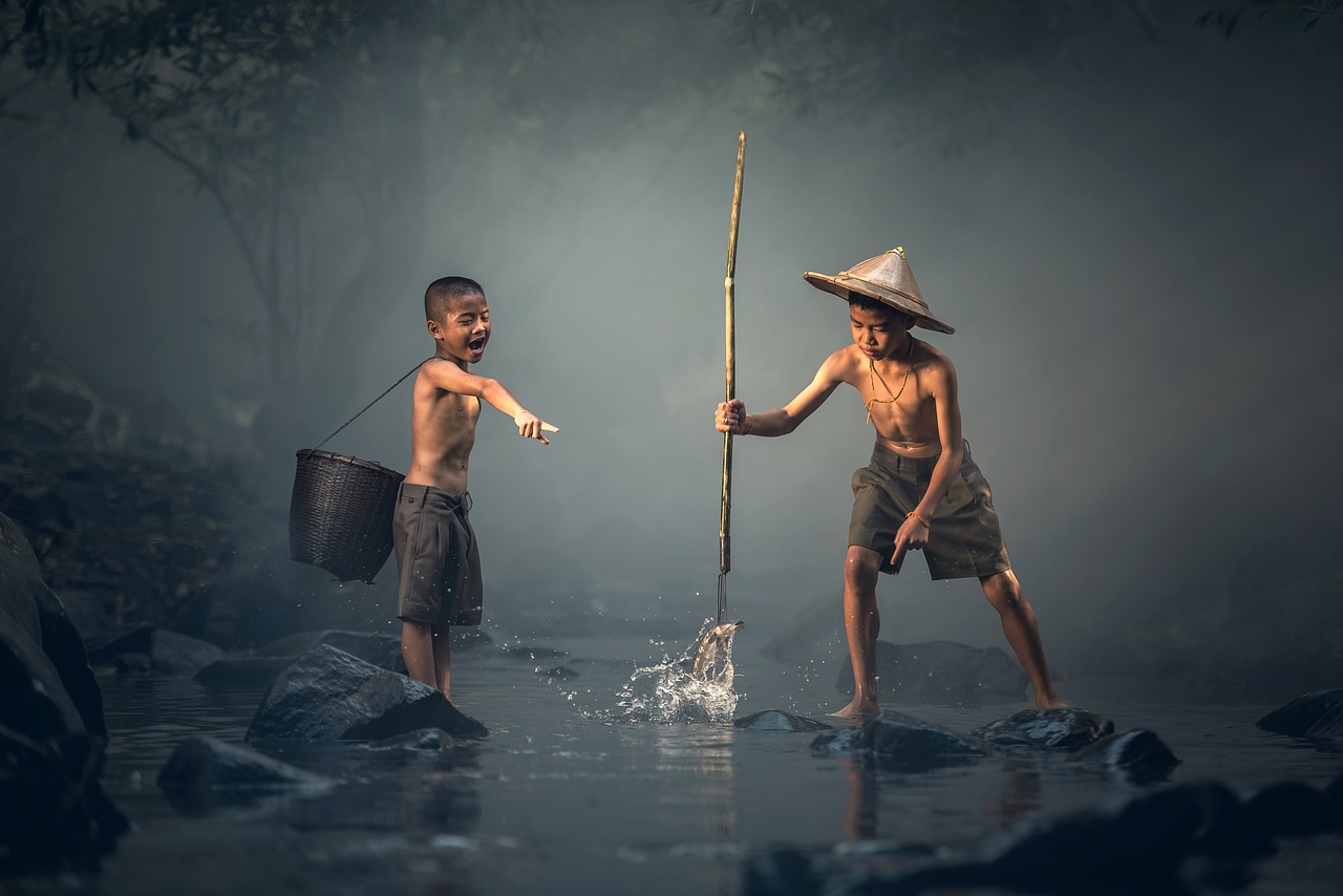Learning from elders